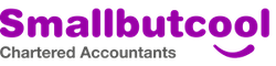 Smallbutcool Chartered Accountants